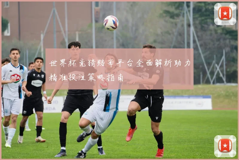 世界杯竞猜赔率平台全面解析助力精准投注策略指南