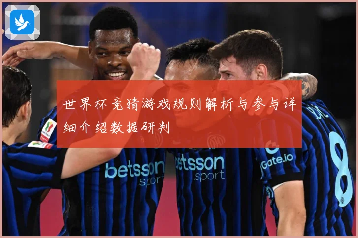世界杯竞猜游戏规则解析与参与详细介绍数据研判