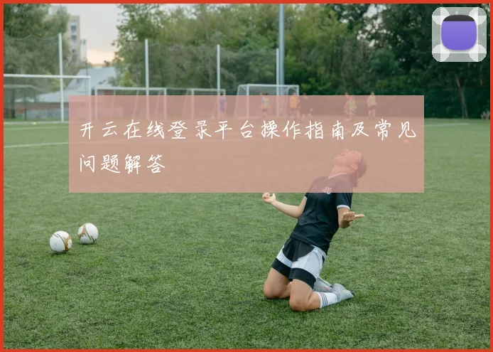 开云在线登录平台操作指南及常见问题解答