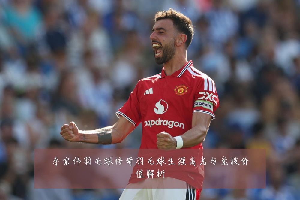 李宗伟羽毛球传奇羽毛球生涯高光与竞技价值解析