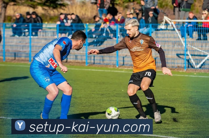 开云平台展示图